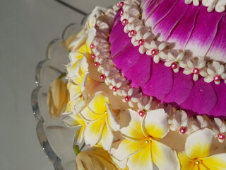 pearl necklace on a white