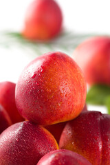 Group of whole nectarine fruits isolated on white background