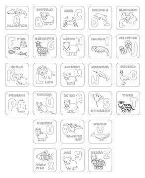 Set of black white ABC cards with pictures. Vector outline Illustration for children school textbook. Alligator buffalo crab dolphin fish giraffe hippo koala lion Muskox ostrich penguin rhino whale