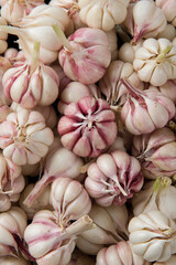 Garlic Cloves and Garlic Bulb isolated on white background