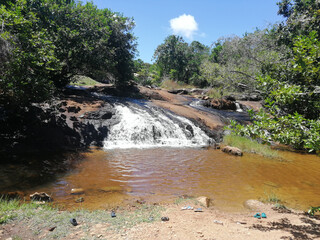 Obraz premium waterfall in the forest