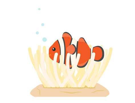1 812 Best イソギンチャク Images Stock Photos Vectors Adobe Stock 1 812 Best イソギンチャク Images Stock Photos Vectors Adobe Stock