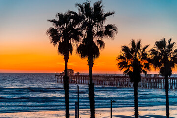 Fototapeta na wymiar Silhouetted palms trees are highlighted against sunset sky and Oceanside Pier peeks through the trees.