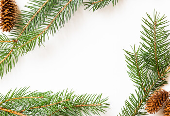 Pine branches with cones, copy space for text, winter, Christmas
