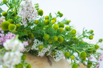 Meadow medical herbs - Chamomile and Achillea. Alternative medicine herbal grass