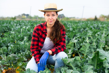 Young confident woman farm worker standing on field with growing broccoli at sustainable farm