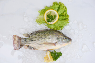Raw tilapia from farm, Fresh Tilapia fish freshwater for cooking food with lettuce salad vegetables parsley and lemon
