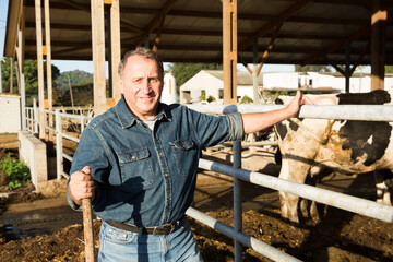 Portrait of man who is standing near cows at the farm.