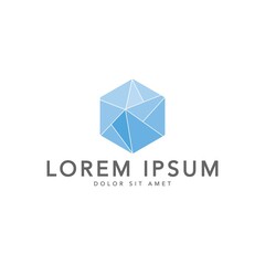 Fototapeta premium minimalist and simple hexagon logo vector