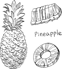 This is a black-and-white illustration of a pineapple drawn with a hand-drawn pen.