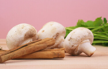 Fresh Organic Ingredients Mushrooms and Herbs With Copyspace