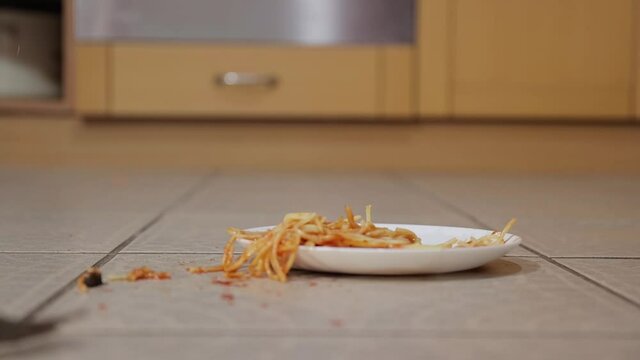 Throwing out wasteful excess food