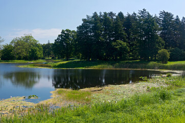 lake and woodlands at arboretum