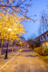 Gardening and retro architecture in Xuanwu Lake Park, Nanjing, Jiangsu, China