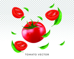 tomato with leaf and slices vector illustration, composition for the juice ad poster or banner 