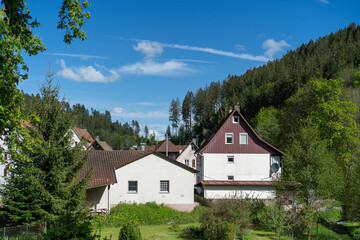 Fototapeta na wymiar small historic german village between forest