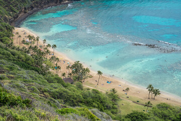 Obraz premium view of beach