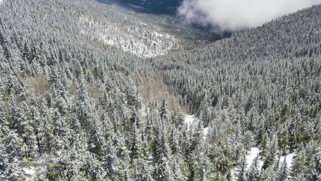 Fly over frozen trees into a valley in Colorado during the winter. Dolly into deep icy wilderness.