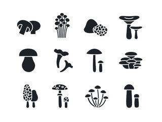 Mushrooms silhouette set. Black vector silhouettes. Fill solid icon. Modern glyph design. Champignon enoki truffle russula porcini cep chanterelle oyster morel fly agaric honey toadstool birch bolete - obrazy, fototapety, plakaty