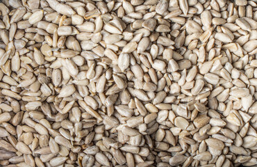 close up of a sesame seeds