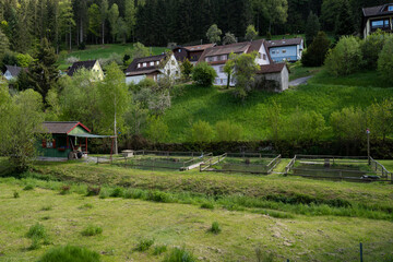 trout fish farm in black forest