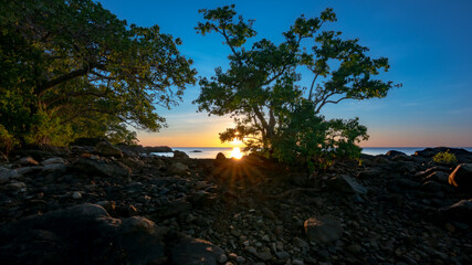 Sun behind the Tree at Datu Island, Tanah Laut 