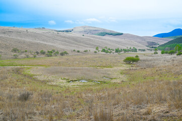 Fototapeta premium 霧ヶ峰の湿地帯