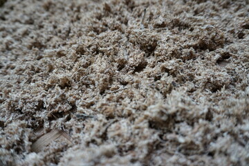 Texture Background Wood Brown Color