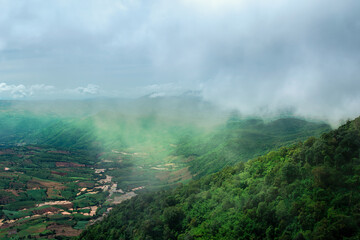 Fog, Sunrise - Dawn, Tropical Climate, Tea Crop, Thailand