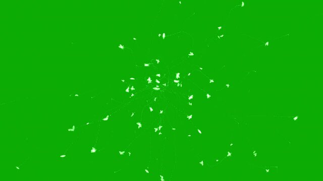Magic fireflies motion graphics with green screen background