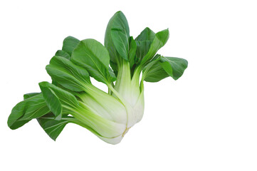 Fresh Bok choy or pak choi on white background.