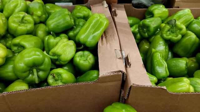 Stack of green pepper in grocery store. Industry of selling products