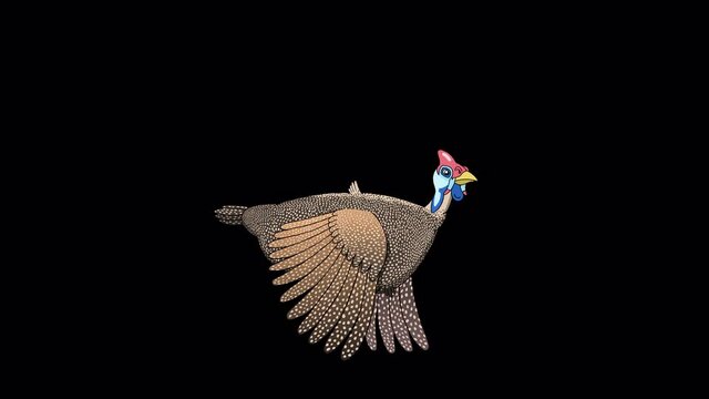 Guinea fowl flies alpha matte