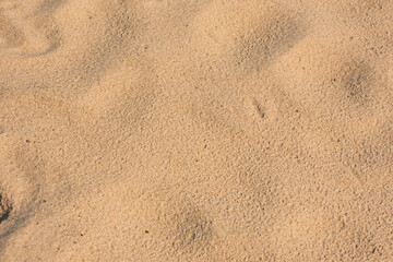 Fototapeta na wymiar Sea beach or desert sand close up. Summer background. Concept of travel, vocation, relax