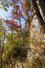 Autumn nature walks through the mountain canyon.