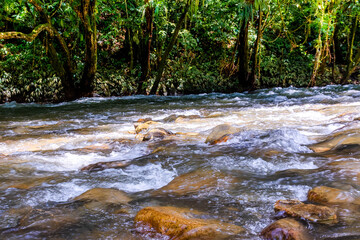 stream in colombia forest