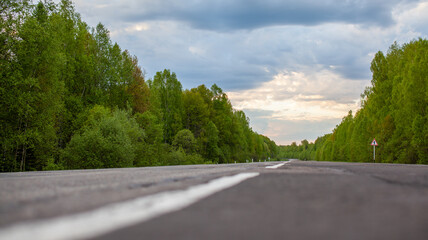 Country road with markings in the middle of the forest. 