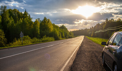 Country road with markings in the middle of the forest. 