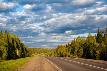 Country road with markings in the middle of the forest. 