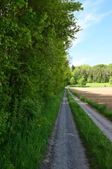 Fototapeta na wymiar Wanderweg über einen Feldweg im Sommer, bei Wertheim, Bayern Deutschland