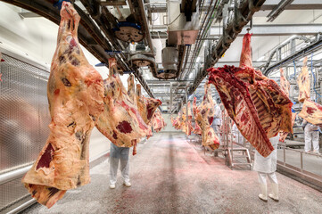 Fototapeta na wymiar Chopped beef carcasses. Overhead conveyor for cow carcasses, meat production