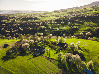 Spring landscape in Slovakia. Polana region, Hrinova. Green spring rural hills landscape, fields, flowering trees, organic farming © Zedspider