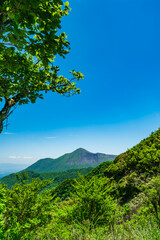 Fototapeta na wymiar 大幡山より新緑まぶしい高千穂峰を望む
