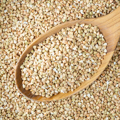 green buckwheat grains in wooden spoon closeup