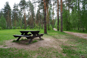 Fototapeta na wymiar Wooden table with benches in pine forest in summer