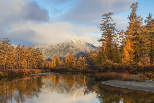 Sunny morning on a quiet river, Purga river