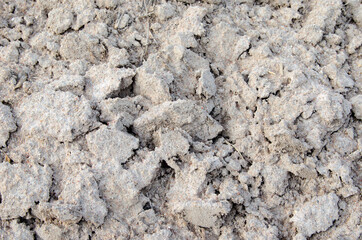 Natural sand texture close up as background

