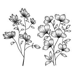 Hand drawn floral botanical wild flowers sketched pen and ink vector illustration.