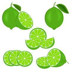 Set of green fresh juicy limes or lemons with slices, hand drawn cartoon flat citrus fruits vector illustration.