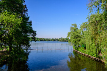 Landscape with old green trees near Herastrau lake and large green trees in King Michael I Park...